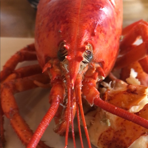 Meet your Posher, Trisha - Picture 1 of 1